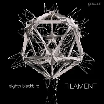 Filament by Bryce Dessner