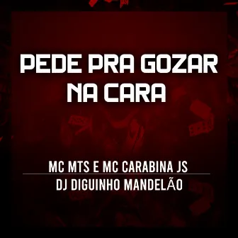 Pede pra Gozar na Cara by Mc Mts