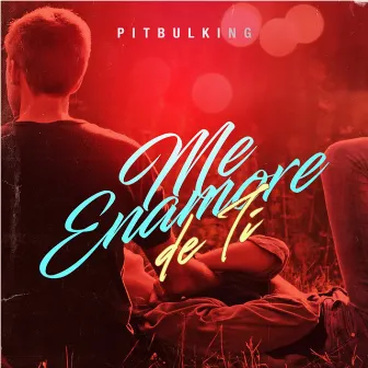 Me Enamore de Ti by Pitbulking