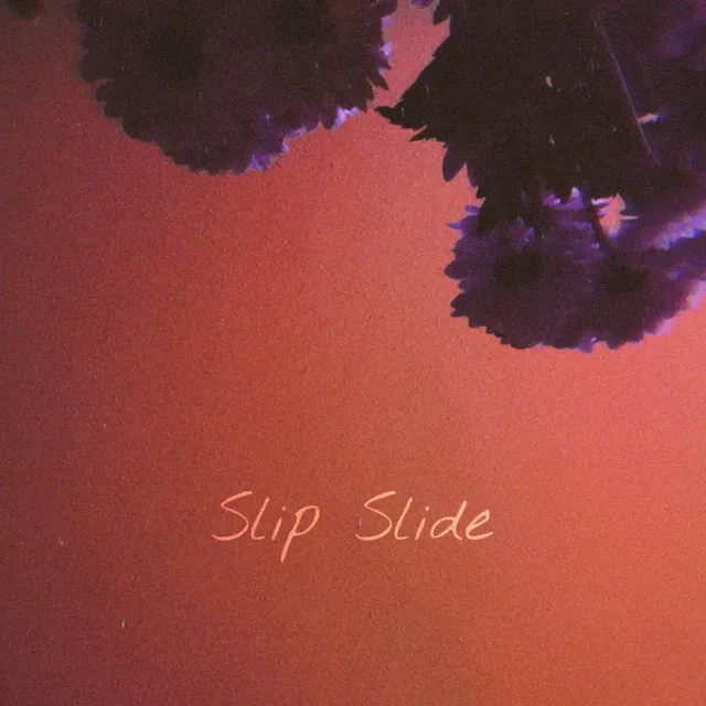 Slip Slide