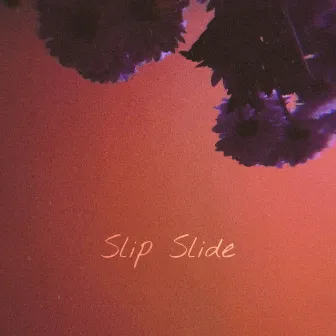 Slip Slide by Dom Mooney