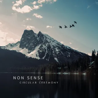 Non Sense by circular ceremony