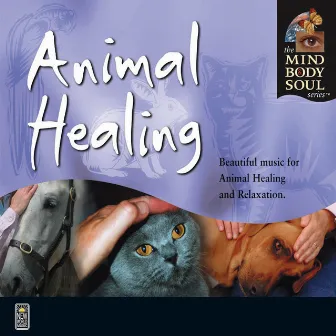 Animal Healing by Perry Wood