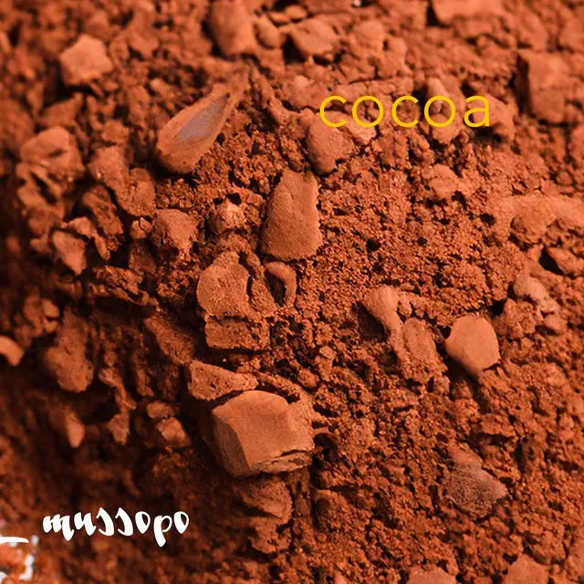 Cocoa