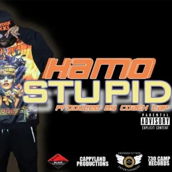 Stupid by Hamo