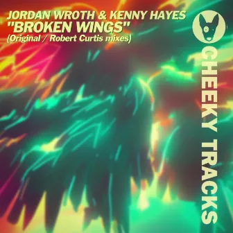 Broken Wings by Kenny Hayes