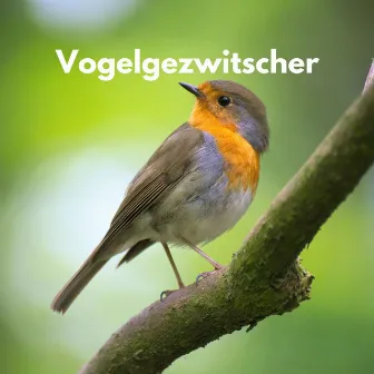 Vogelgezwitscher by Vogelstimmen Welt