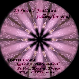 Falling (For You) by DJ Spice T