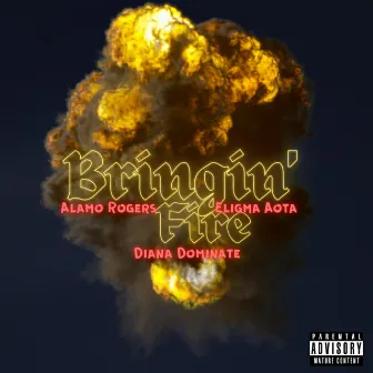 Bringin' Fire by Alamo Rogers