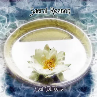 Soul Splinters by Sacral Reason