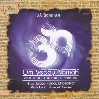 Om Veday Namah by Uday Bhawalkar