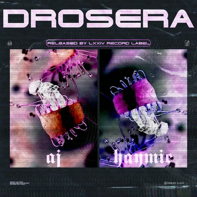 Drosera - Original Mix