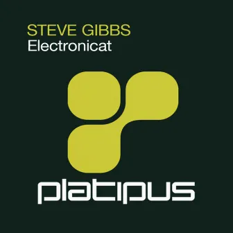 Electronicat by Steve Gibbs