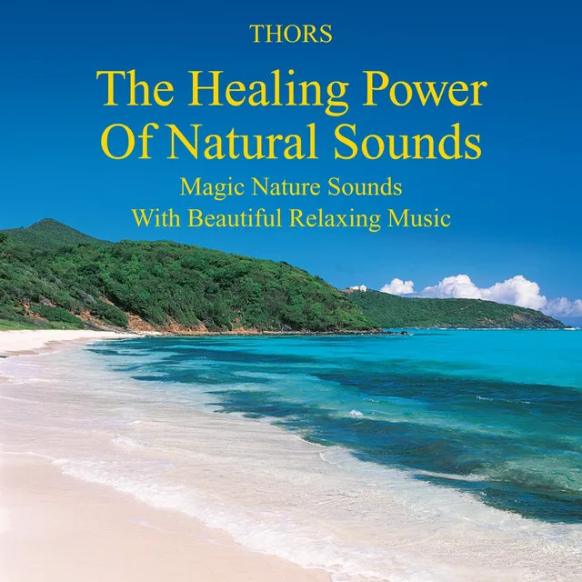 The Healing Power of Natural Sounds: Magic Nature Sounds with Beautiful Relaxing Music