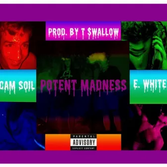 Potent Madness by E. White