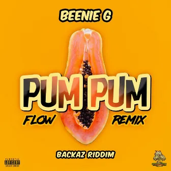 Pum Pum Flow (Backaz Riddim Remix) by Beenie G