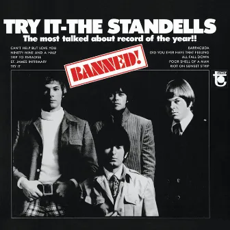 Try It (Mono Version) by The Standells