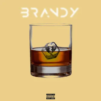 Brandy by Vapor Ice