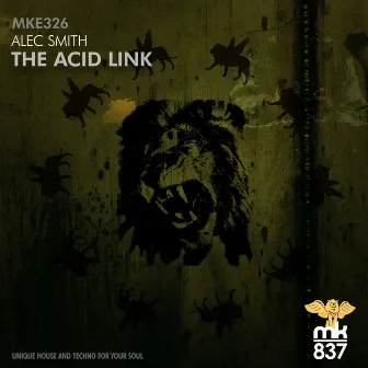 The Acid Link by Alec Smith