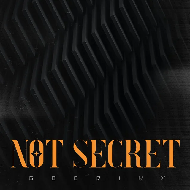 Not Secret (Radio Edit)