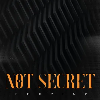 Not Secret by Goodiny