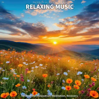 #01 Relaxing Music for Bedtime, Relaxation, Meditation, Recovery by Relaxing Music for Cats