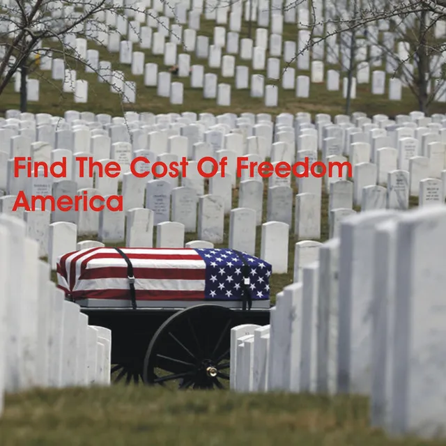 Find The Cost Of Freedom America