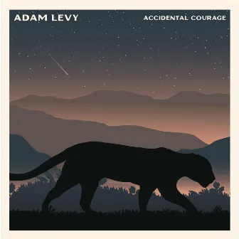 Accidental Courage by Adam Levy