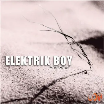 MOMENTUM by ELEKTRIK BOY