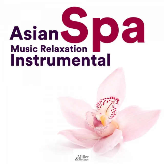 Asian Spa Music Relaxation Instrumental