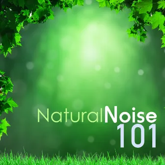 Natural Noise 101 - Sleep Music Lullabies to Help you Meditate and Heal, Best Serenity Spa Sounds by Essence Reliford