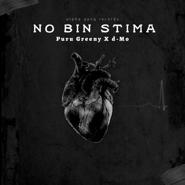 No Bin Stima