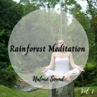 Nature Sound: Rainforest Meditation Vol. 1 by The Calm Music Network