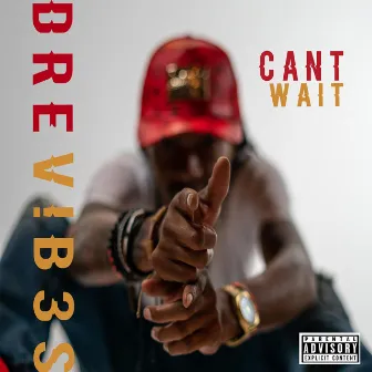 Can't Wait by Dre V!b3s