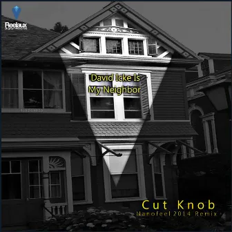 David Icke Is My Neighbor - Nanofeel Remix by Cut Knob