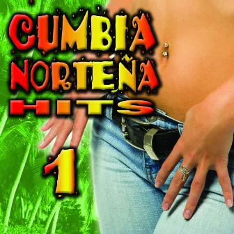 Cumbia Norteña Hits 1 by Cumbia Sabrosa