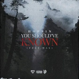 You Should've Known by Hopsin