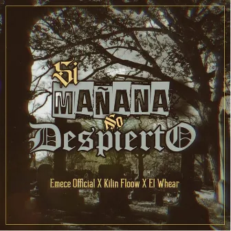 Si Mañana No Despierto by Emece Official