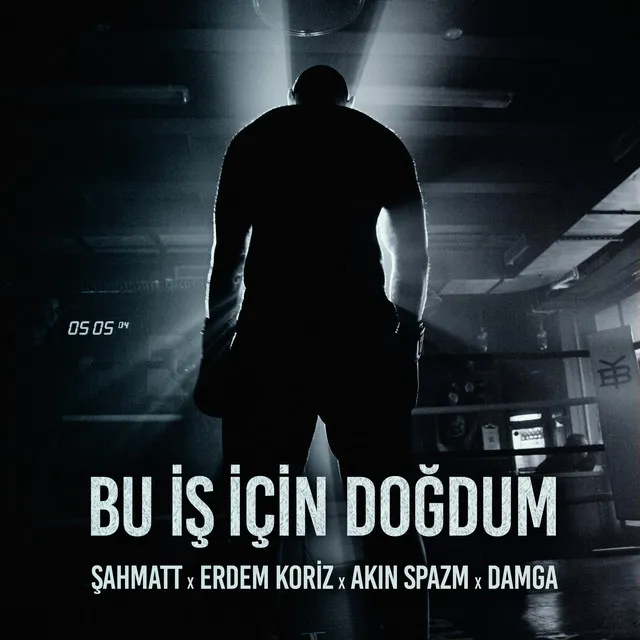 Bu iş için doğdum