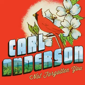 Not Forgotten You by Carl Anderson