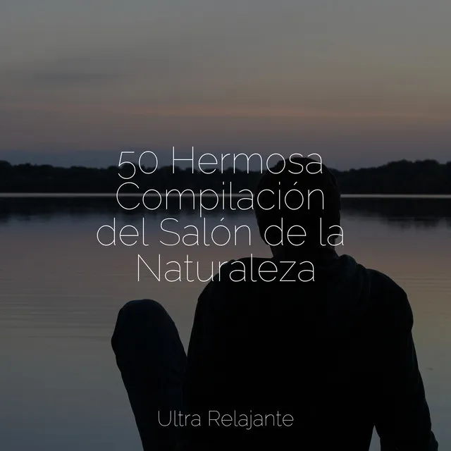 50 Hermosa Compilación del Salón de la Naturaleza