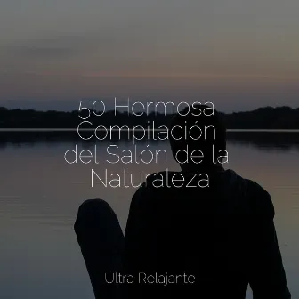 50 Hermosa Compilación del Salón de la Naturaleza by Música ambiental relajante