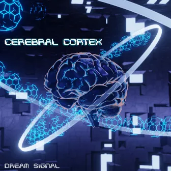 Cerebral Cortex by Dream Signal