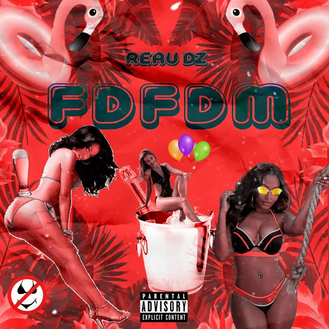 FDFDM