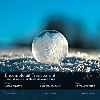 Ensemble Transparent by Torsten Tiebout