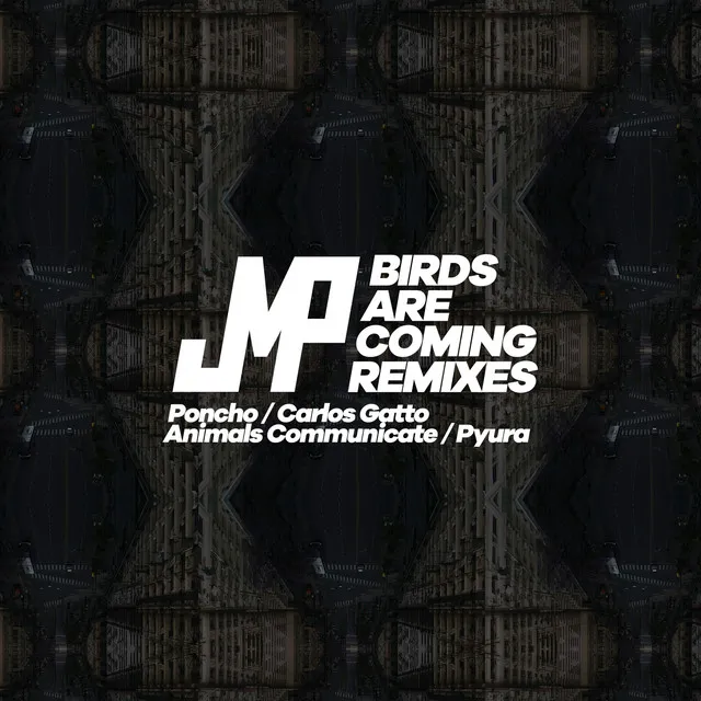 Birds Are Coming - Carlos Gatto Remix