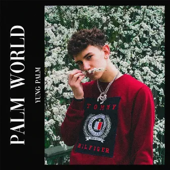 Palm World by Yung Palm