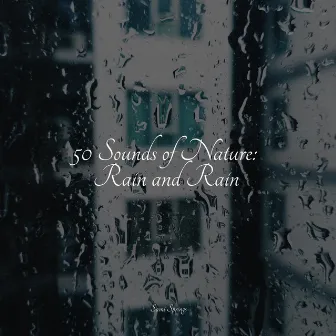 50 Sounds of Nature: Rain and Rain by Guided Meditation Music Zone