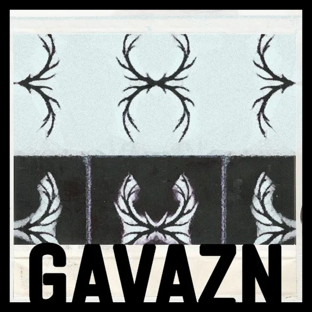 Gavazn