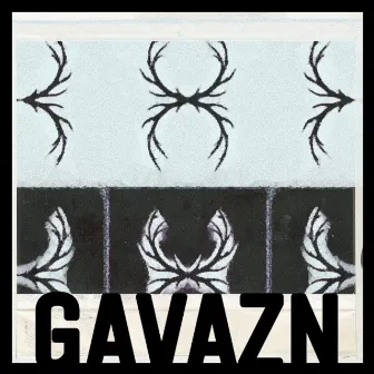 Gavazn by Nahaan